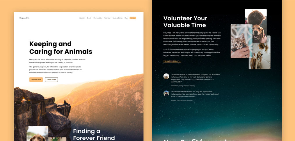 Mariposa Figma website template